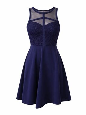 Black Swan Navy Lace Mesh Open Back Dress XS NWT